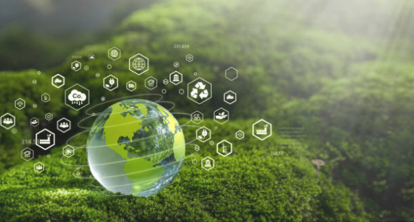 Carbon Neutral
